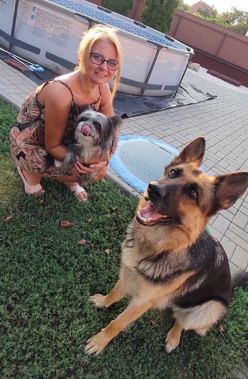 Székely-Rakusz- petsitter Füzesabony or Pet nanny for dogs cats 