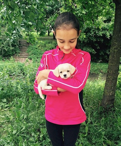 Kempf- petsitter Budapest or Pet nanny for dogs 